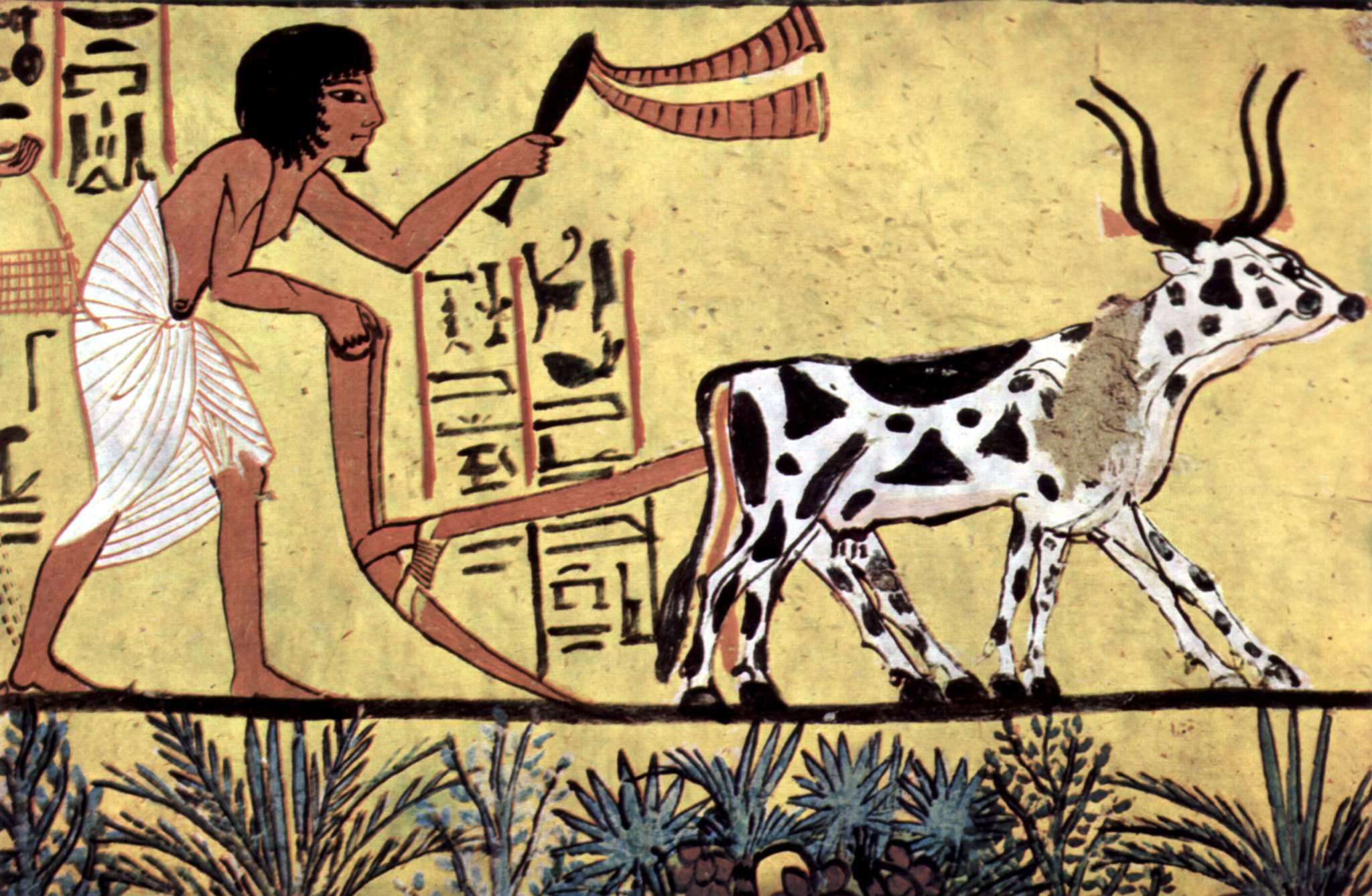 How Agriculture Changed Human Life Forever